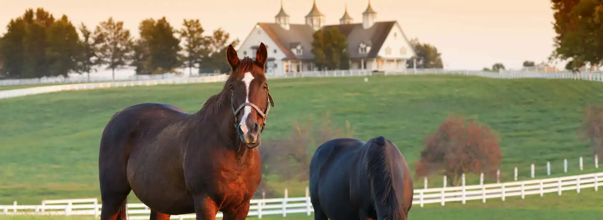 Farm Insurance
